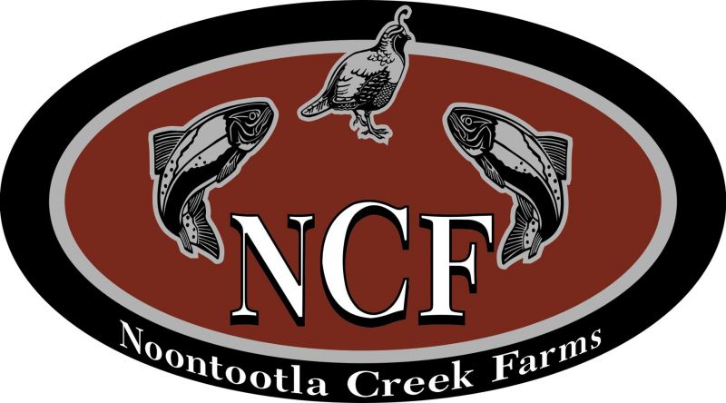 Noontootla Creek Farms in Blue Ridge Georgia